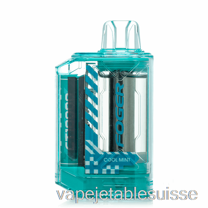 Vape Suisse Foger Ct10000 Jetable Menthe Fraîche